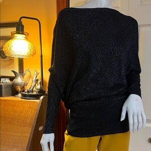 Zara Navy Blue Knit Top